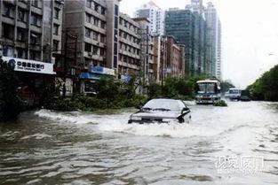 最新台风爆料视频大全集  第1张